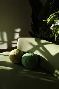 現代綠色沙發搭配裝飾抱枕，盆栽植物在牆面與坐墊上投射出優雅陰影。