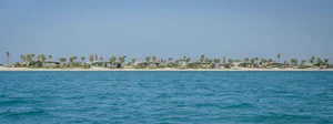 A serene beachfront view showcasing residential houses amidst sandy terrain and water.