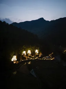 Night view of a modern lodge with glass facade nestled in a forest.