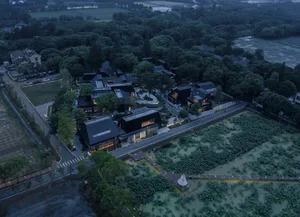 Aerial view of modern black-roof residential homes surrounded by greenery, featuring indoor lighting and garden areas.