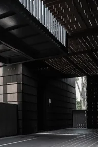Modern architectural design featuring black wood material