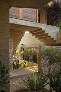 A modern building with concrete stairs, wooden railings, and green plants.
