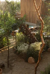 Outdoor space featuring timber and greenery