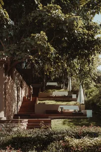 A modern house surrounded by a garden made of stone and wood