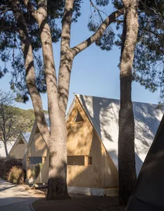 Tent cabins with minimalist design in a residential camp setting.