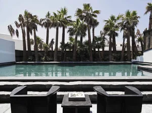 A minimalist patio featuring a concrete pool with glass elements and surrounded by palm trees.