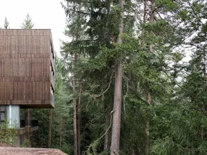Modern building with wooden exterior surrounded by trees