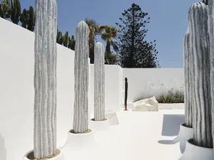 Modern, white, minimalist courtyard with large cactus plants.