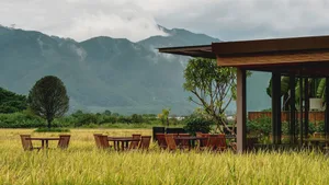 Outdoor seating area with wooden benches and tables surrounded by tall grass in a rural farm setting with mountains in the ba