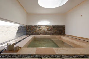 Concrete plunge pool design in an urban setting, featuring minimalist aesthetic and natural lighting from a skylight.
