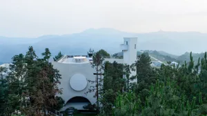A modern white residential building with a white circular window and a glass entrance door surrounded by greenery.