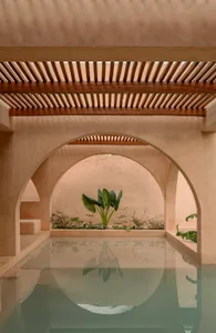 A serene residential hallway with concrete walls and wooden arches, featuring a small plant reflected in the water below.