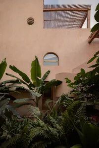 A minimalist architectural interior featuring exposed concrete walls and green foliage.