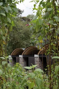 Modern building with stone and glass exterior, surrounded by greenery.