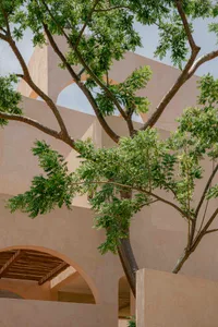 Modern architectural design with concrete walls and tree branches.