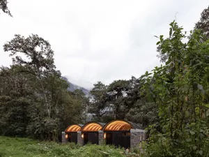 A modern cabin with a lighted roof nestled in a forest.