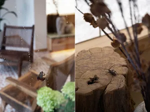 A modern interior space featuring a rustic wooden stump as a decorative piece.