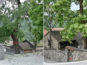 Imagery showcasing traditional stone houses in a rural setting, surrounded by lush greenery, highlighting their rustic charm 