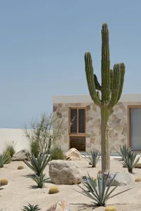 Modern architecture featuring concrete and stone in a desert setting.