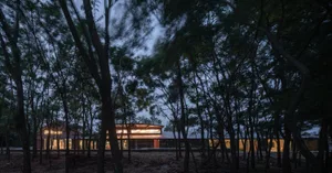 Modern residential exterior with a walkway surrounded by trees.