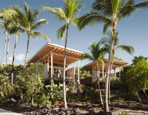 A modern residential house with a wooden frame and surrounded by tropical plants.