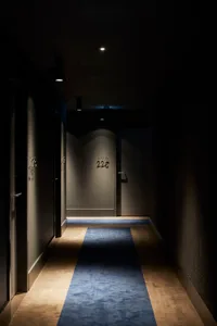 A minimalist corridor featuring a carpet and wall panels.