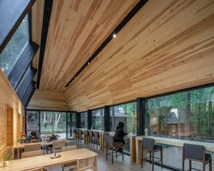 Interior of a modern coffee shop featuring a wood-paneled ceiling and large windows overlooking a forest.