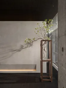 Modern minimalist interior space with concrete walls and floor, featuring a sleek, contemporary wooden structure holding gree