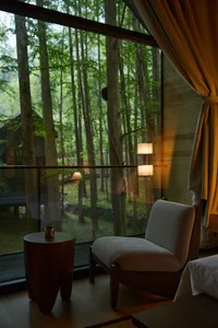 A modern living room with wooden furniture and large windows looking out onto a forest.