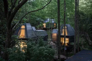 Modern residential buildings featuring transparent glass walls and roofs in a forest setting.