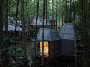 A modern wooden tree house nestled in a dense forest, featuring a cozy interior.