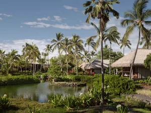 A tropical resort with palm trees and a tranquil pond