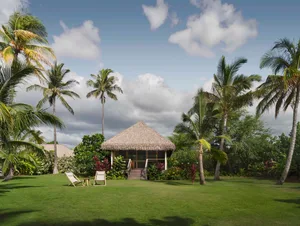 A thatched-roof vacation home surrounded by palm trees and a large garden.