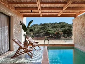 A modern outdoor living space featuring a pool with a reclaimed wood deck, lounge chairs, and a tropical plant.