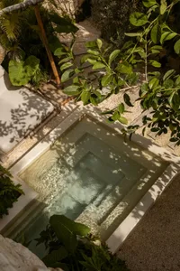 Outdoor concrete spa hot tub surrounded by green plants and trees.