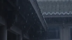 Rice field with rain dripping down from a tiled roof and wooden gutters.