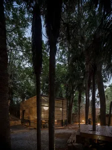 A modern residential space with bamboo exterior walls and a glass window, surrounded by trees in a forest setting.