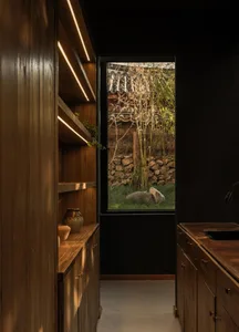 A modern kitchen featuring dark wooden cabinets and a view of a tranquil outdoor garden with bamboo plants.