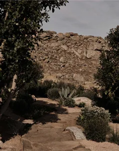A rocky hillside with scattered plants and a stone path