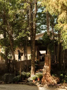 A rustic outdoor space featuring wooden walkways and greenery.