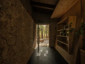 Minimalist interior design featuring stone walls and wooden shelves with greenery.
