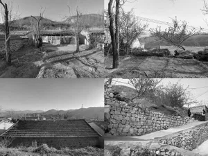 A village scene with a stone wall, dirt road, and trees.