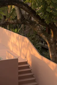 Concrete staircase with minimalistic design and shadow play created by a large nearby tree.