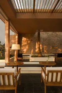 A modern indoor lounge area featuring wood and stone materials, with a tree and stone wall as focal points.