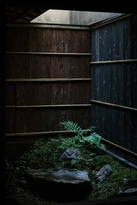 A minimalist room featuring bamboo planters with lush ferns and rocks, set against dark wooden walls.