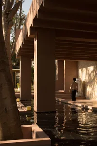 A modern residential interior featuring concrete columns, a water feature, and natural light streaming in through the trees.