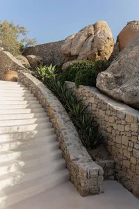 Stone staircase surrounded by natural vegetation