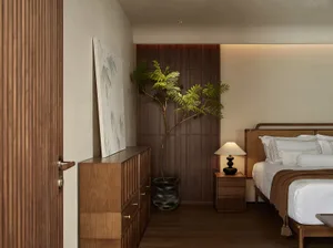 A minimalist bedroom featuring wooden furniture and a large green plant.