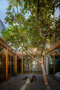 A minimalist residential patio with wood and gravel