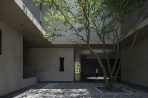 A modern architectural space featuring concrete walls and a tree in a courtyard.